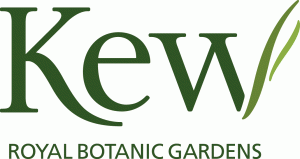 kewlogo