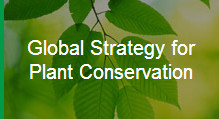 global-strategy-for-plant-conservation